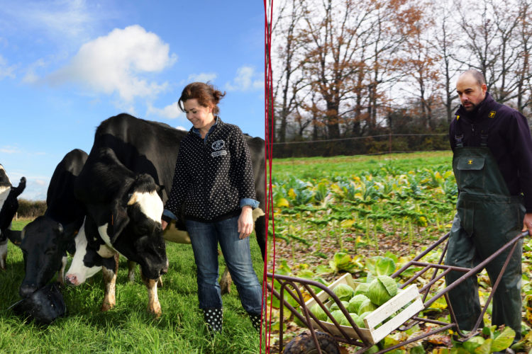 une éleveuse de bovins et un agriculteur