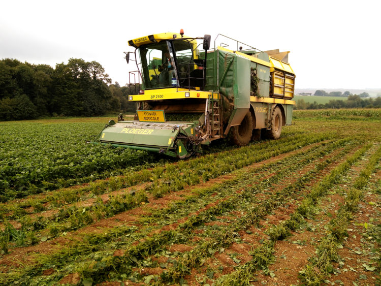 partenaires locaux agriculture